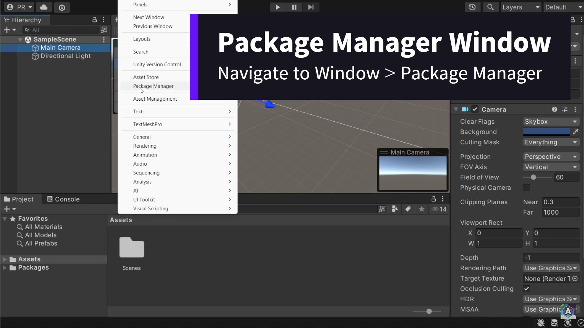 Window > Package Manager